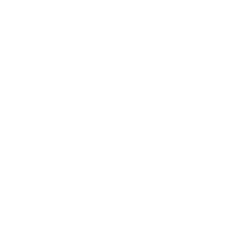 Asset 19